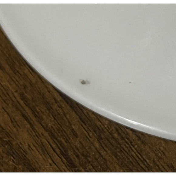 Hendrick's Gin Collectable Tea Cup And Saucer Set rare - Picture 11 of 14